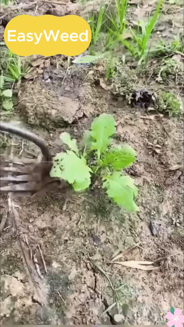 EasyWeed Garden Tool