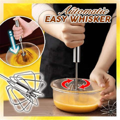 Egg Beater Whisk