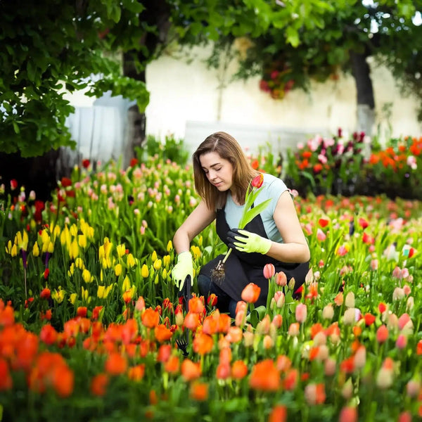 EasyWeed Garden Tool