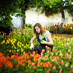 EasyWeed Garden Tool